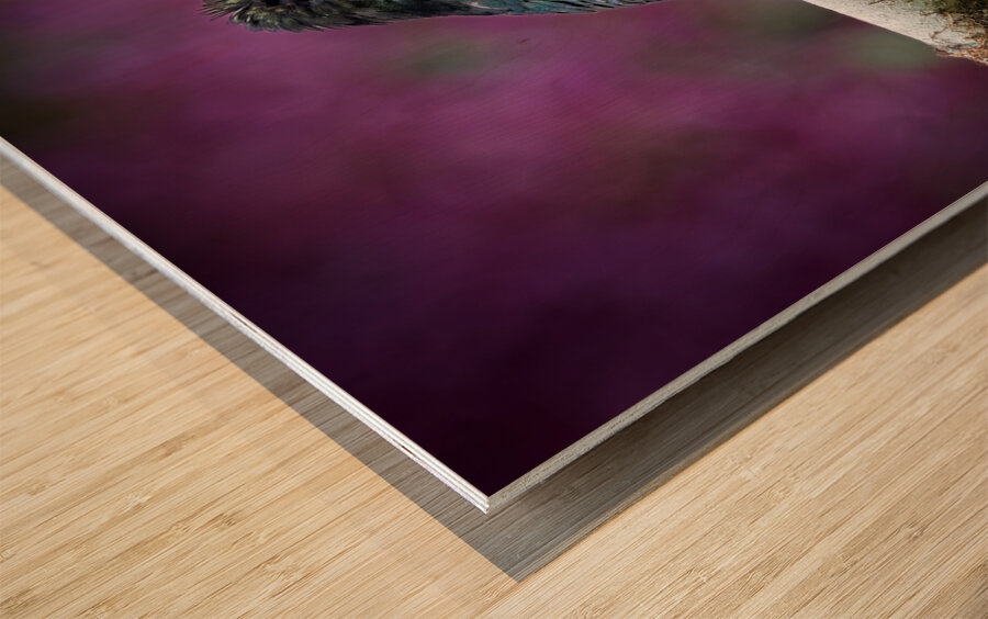 Quiet Jewel Wood print