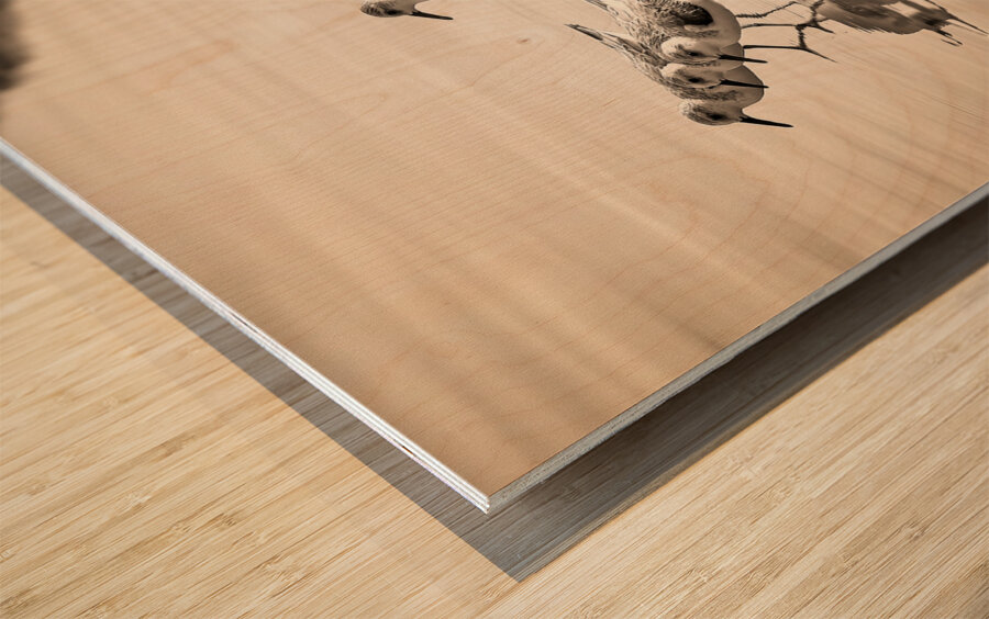 Gentle Pursuit Wood print