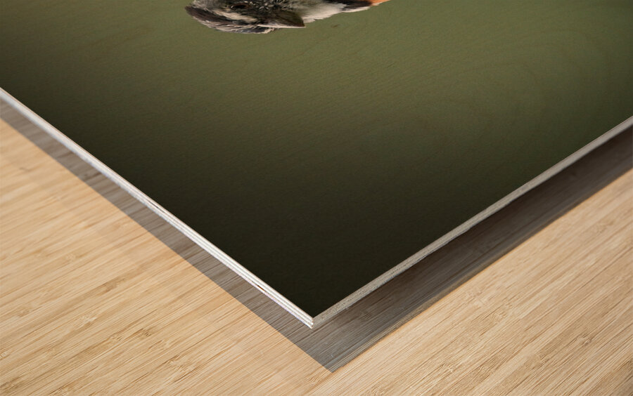 Perched in the Green Mist Wood print