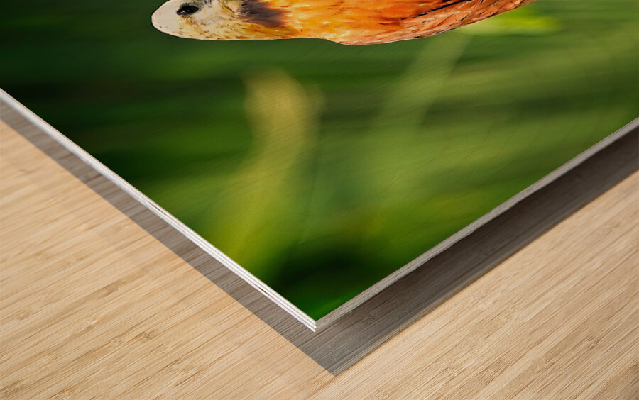 Golden Forest Guardian Wood print