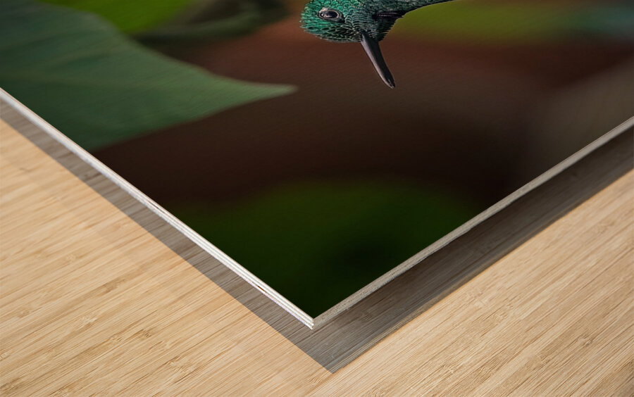 Emerald Perch Wood print