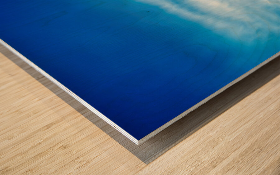 Skyfire Starling Wood print