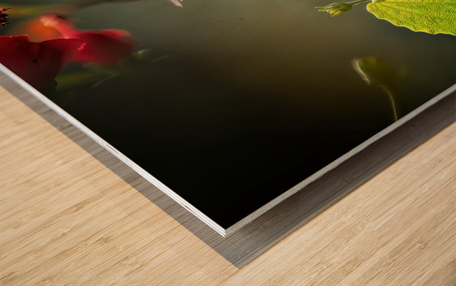 The Nectar Dancer Wood print