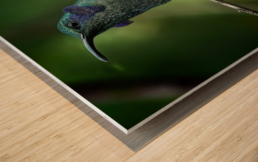 Emerald Whisper Wood print