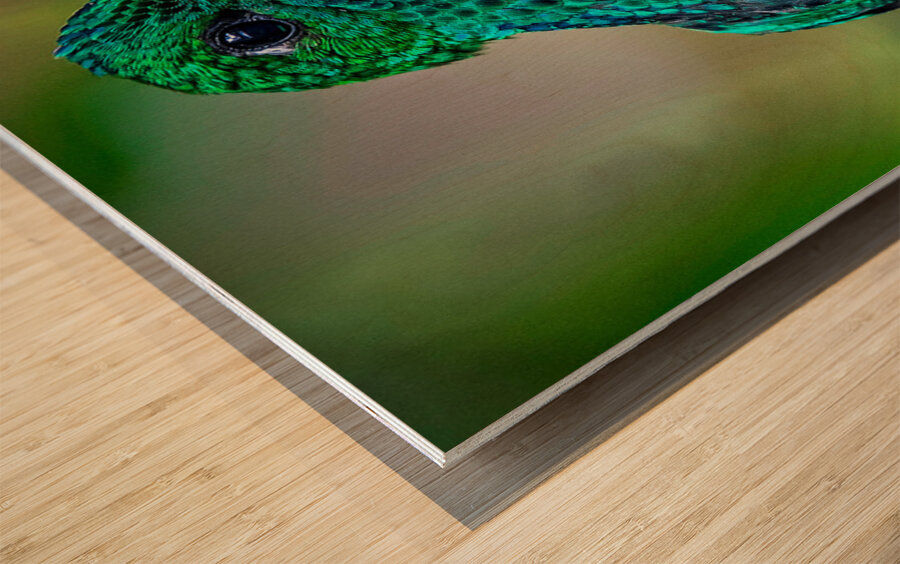 Emerald Spark Wood print