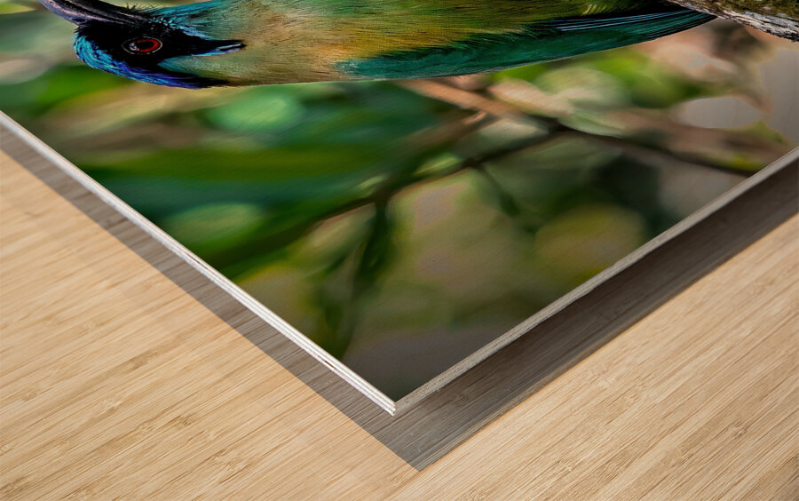 Jungle Jewel Wood print