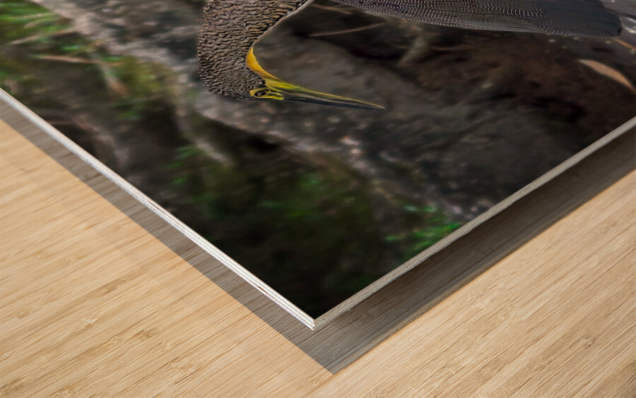 The Twin Dancers Wood print