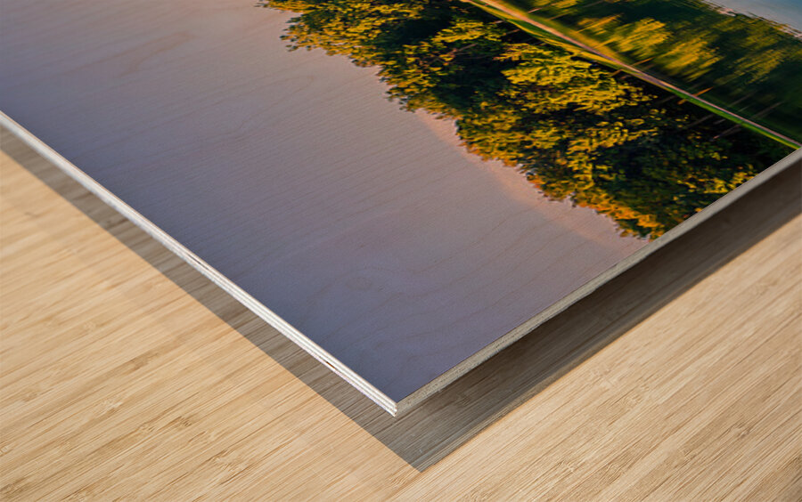 Mont Royal Montreal Wood print