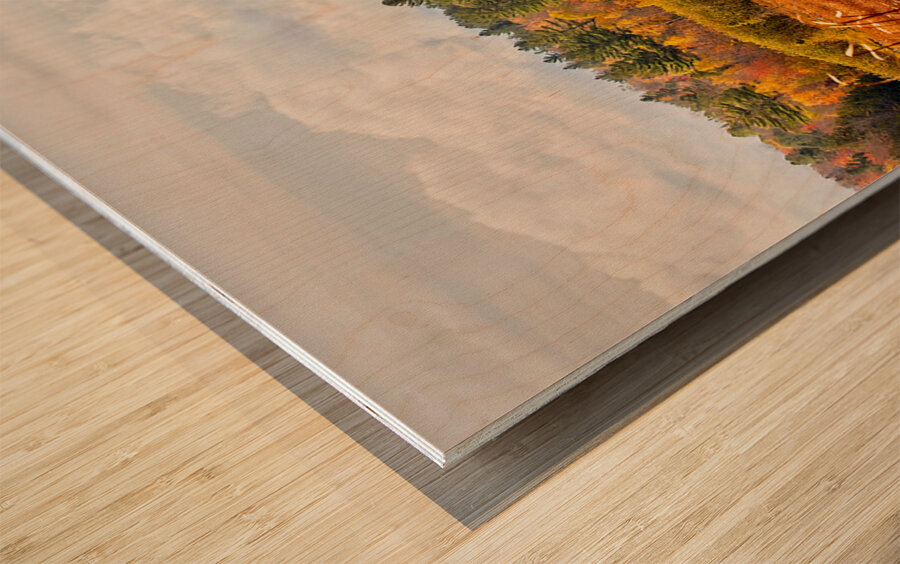 Autumn Forest Under a Starry Sky Wood print