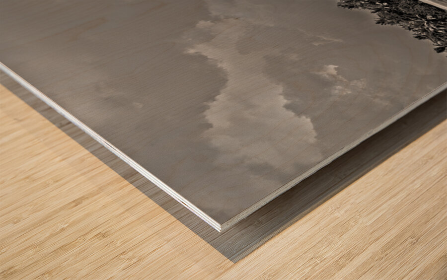 Palm Forest in Black & White Wood print