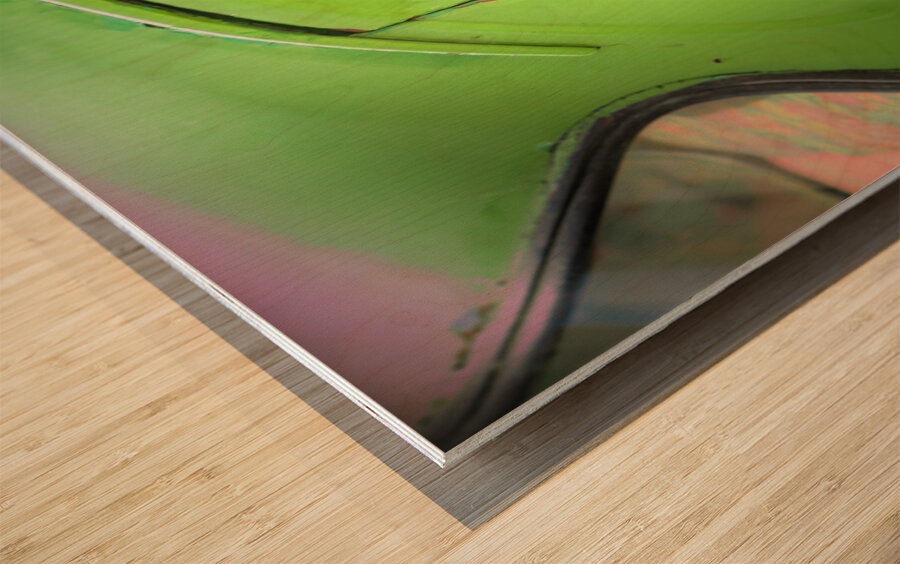 Woman in Green Car Window Wood print