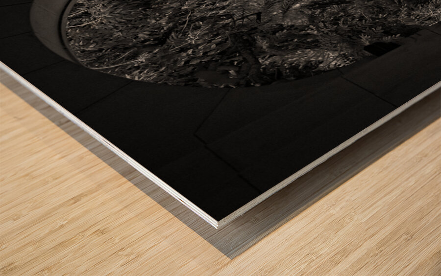 Havana Through the Archway Wood print