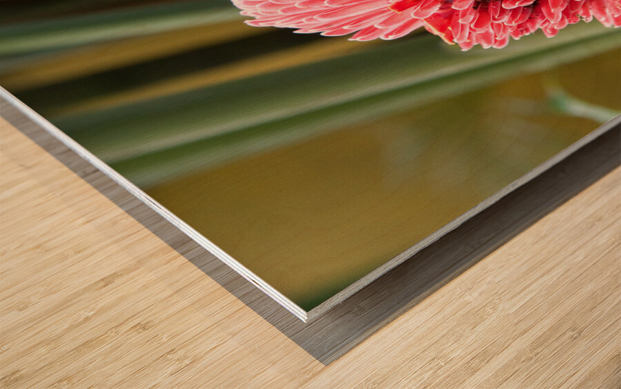 Torch Ginger Bloom Wood print