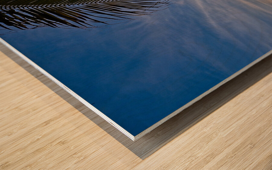 Palm-Framed Sunset Wood print