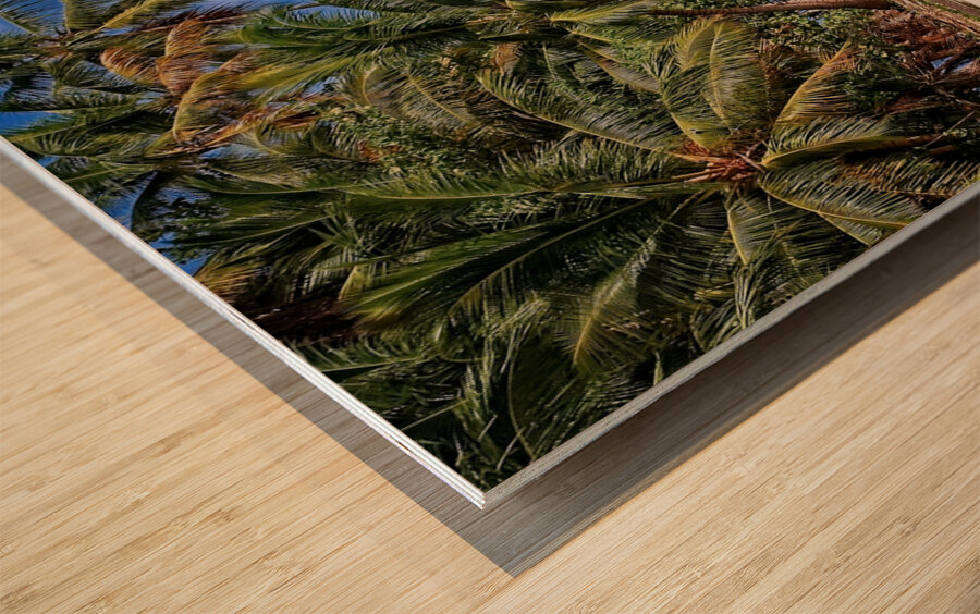 Tropical Shoreline Paradise Wood print