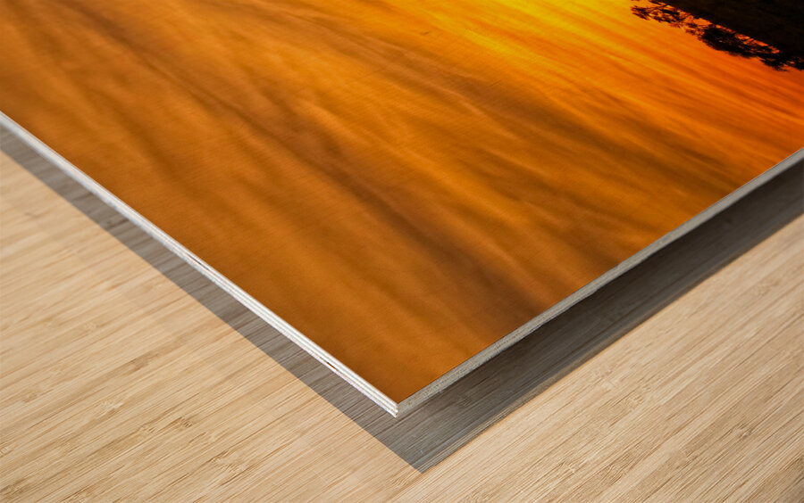 Savanna Gold Wood print