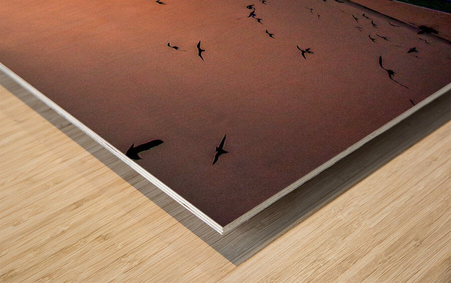 Dawn Flight Over Still Waters Wood print