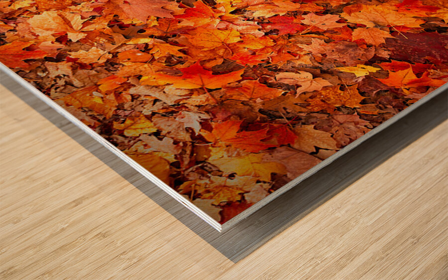 Autumn’s Golden Standout Wood print