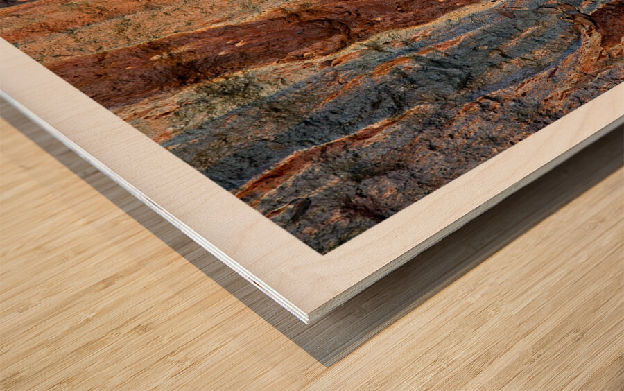 Earth’s Palette Wood print