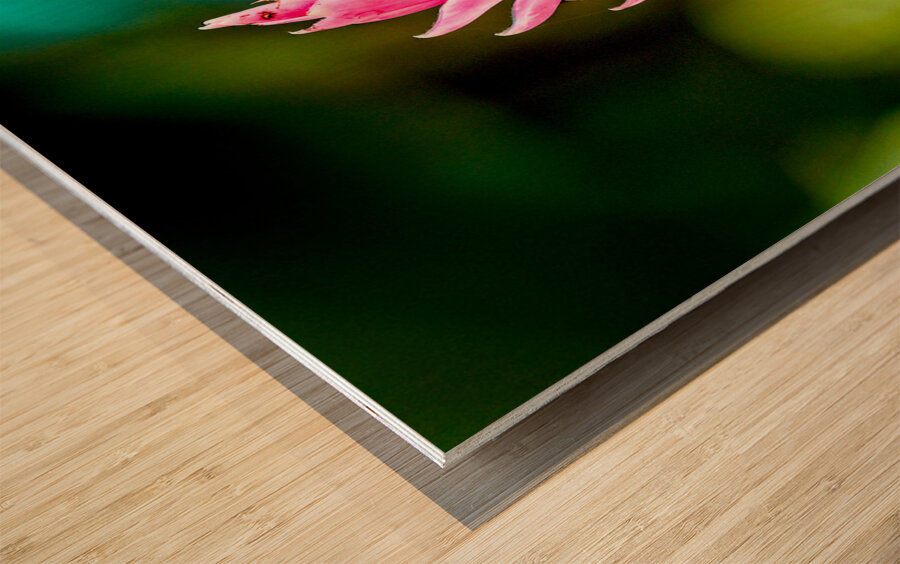Jungle Bloom Elegance Wood print