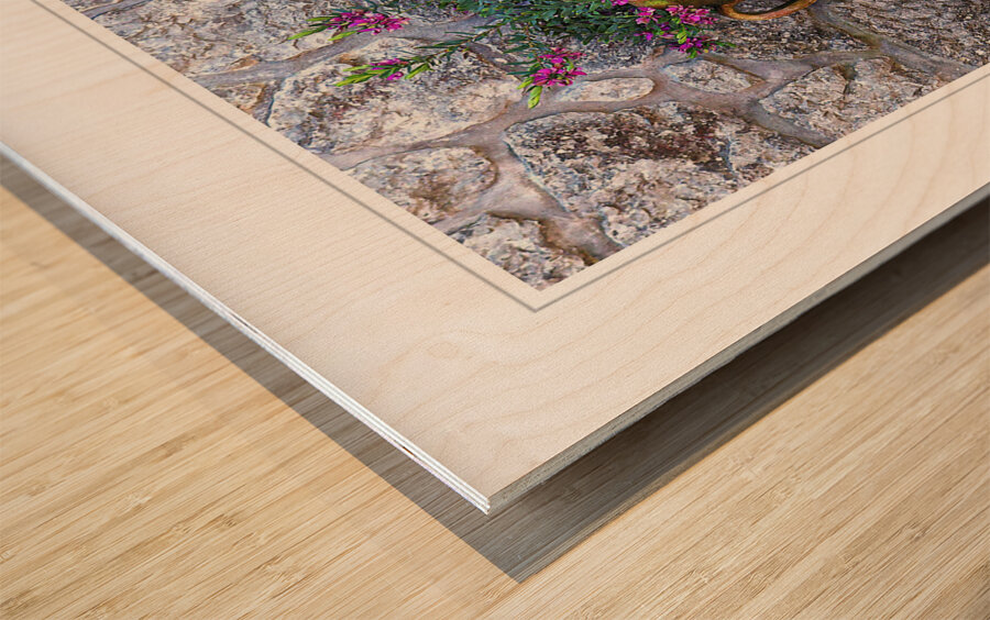 Rustic Garden Vase Wood print