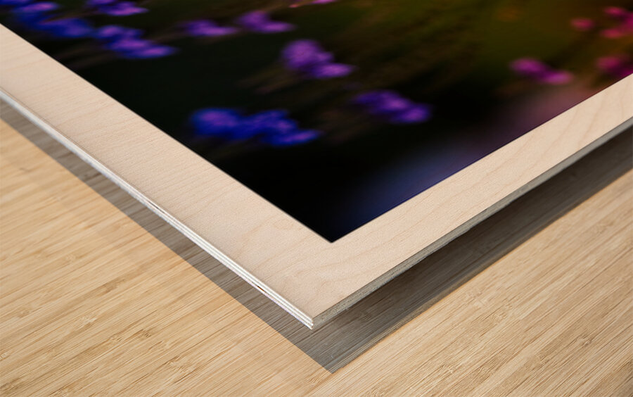 Garden Glow Wood print