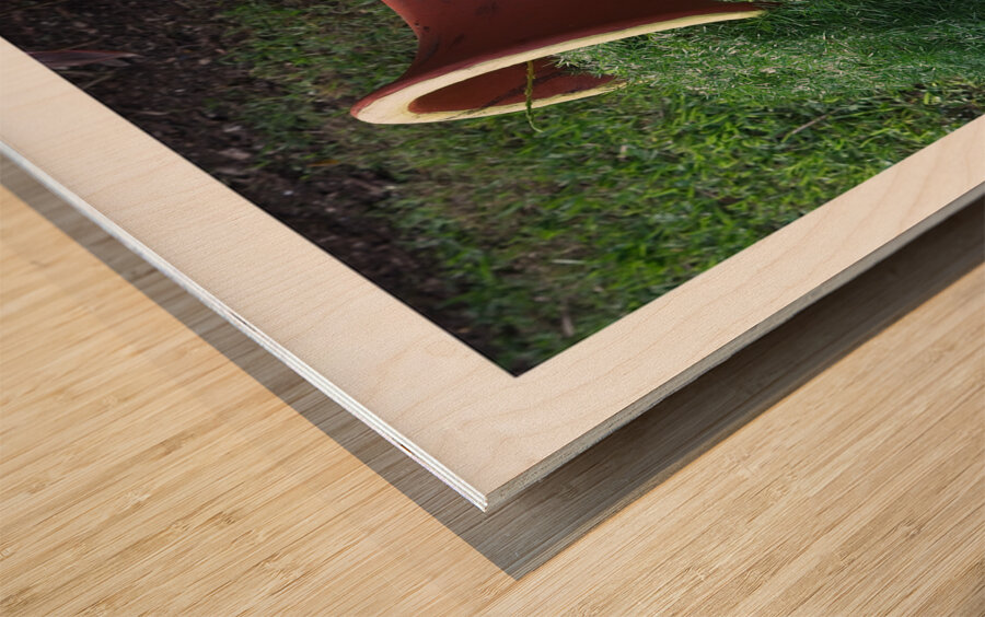 Painted Garden Pot Wood print