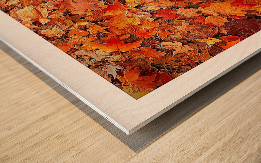 Autumn Carpet Wood print