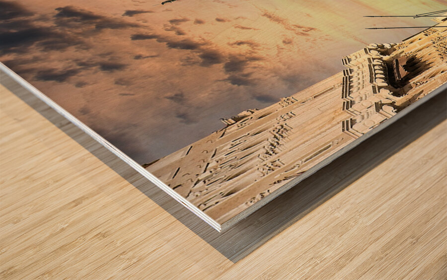 Golden Ride Through Venice Wood print