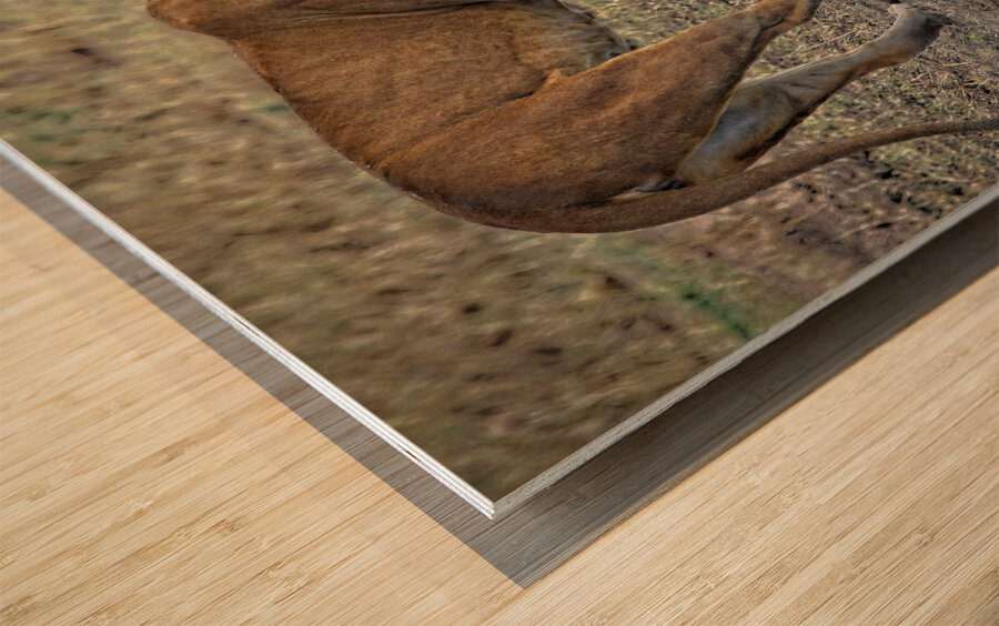 Mother’s Nudge Wood print