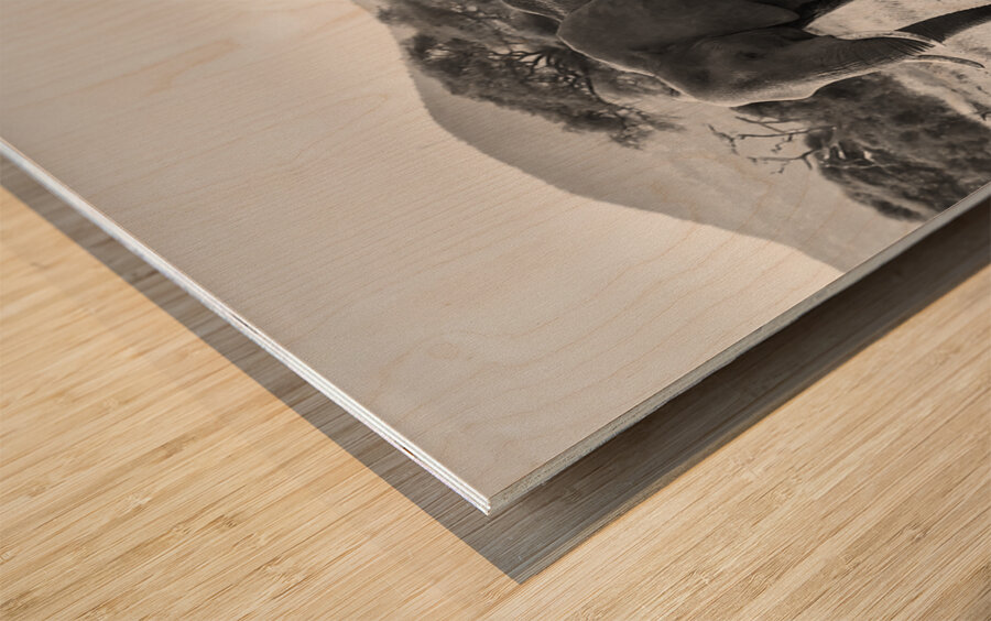 March of the Matriarchs Wood print