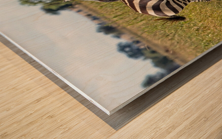 Striped Harmony Wood print