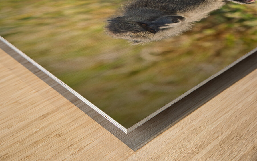 Mother’s Hold Wood print