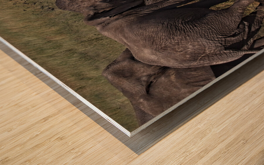 Mud Bath Ritual Wood print