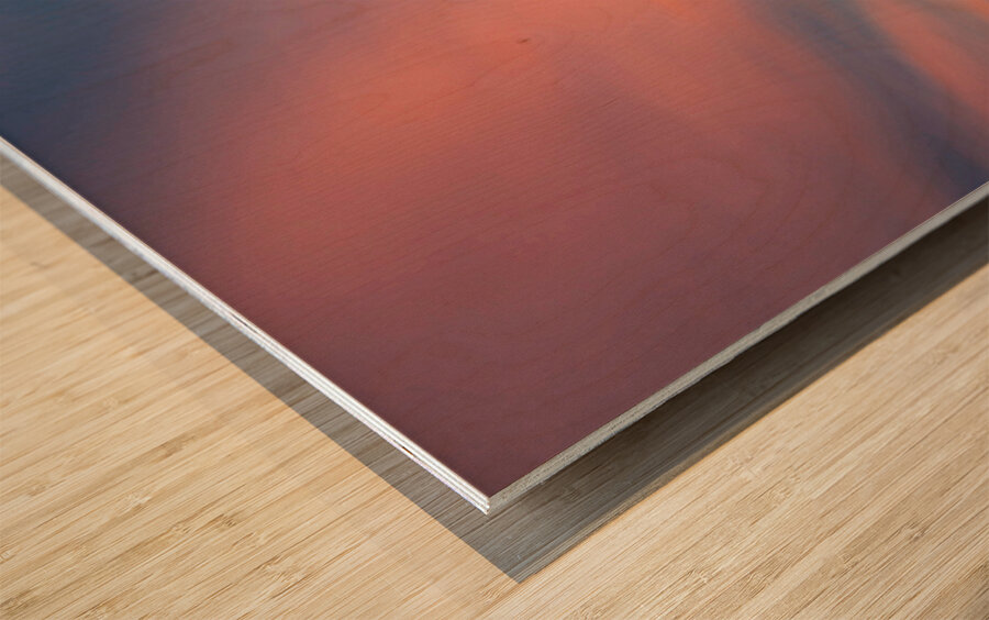 Sky Watcher Wood print