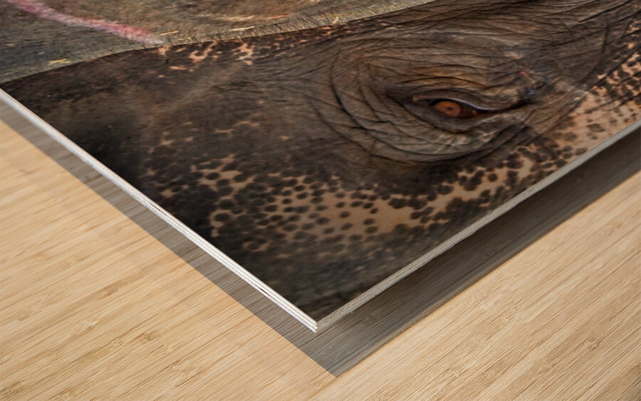 Ancient Companions Wood print