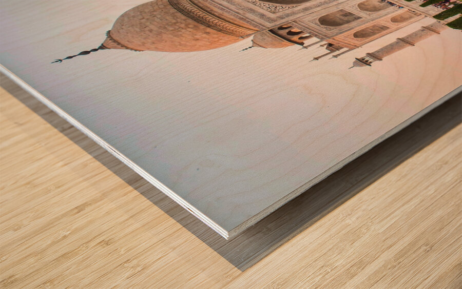 Taj Mahal Reflection Wood print