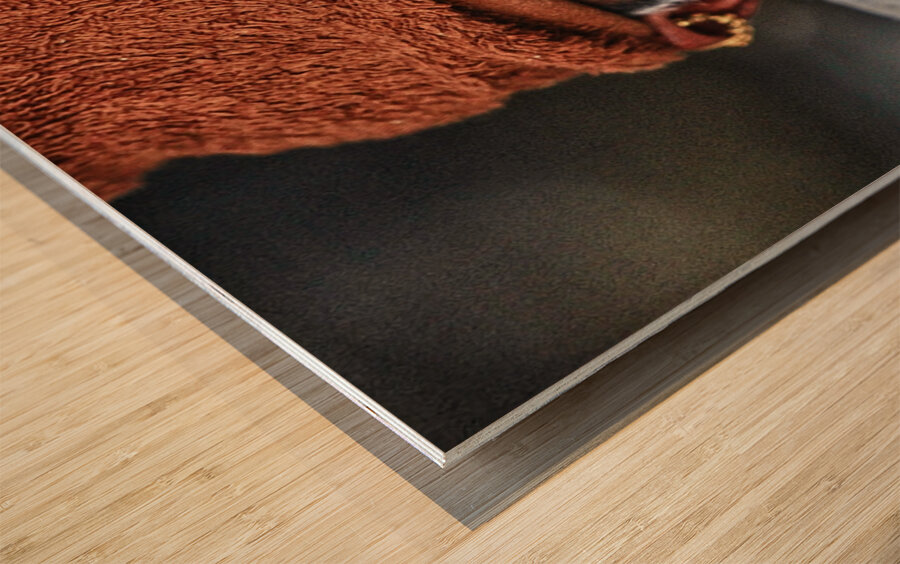 Eyes of Experience Wood print