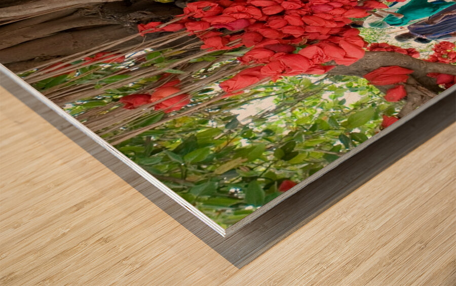 Wishes in Red Wood print