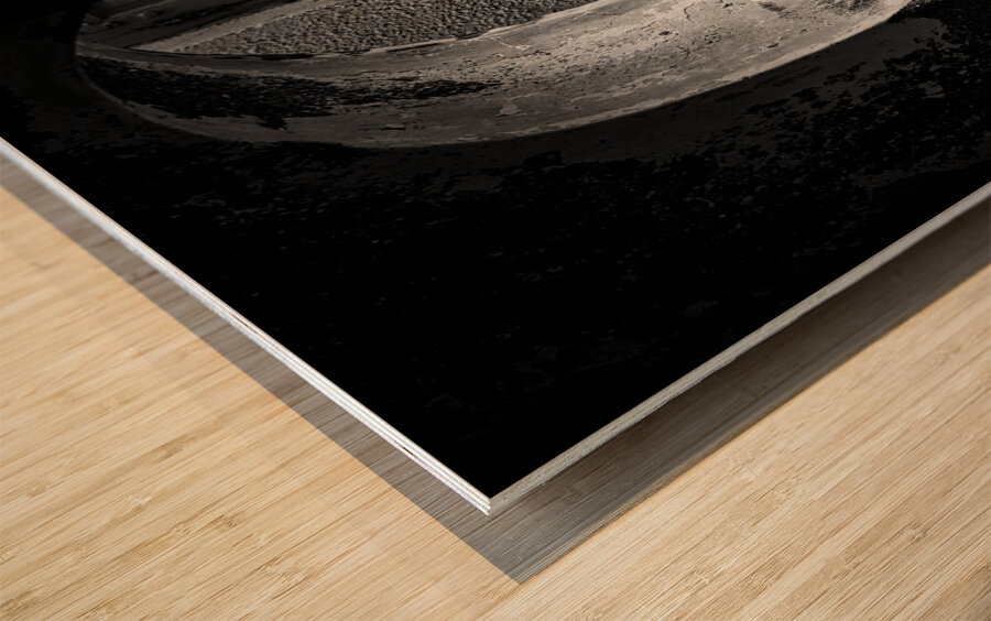 Resting by the Window Wood print