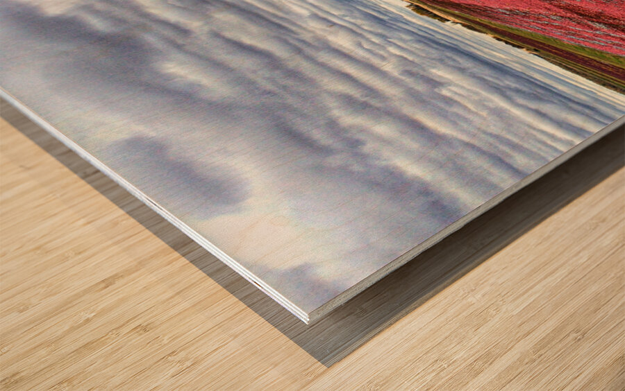 Crimson Harvest Wood print