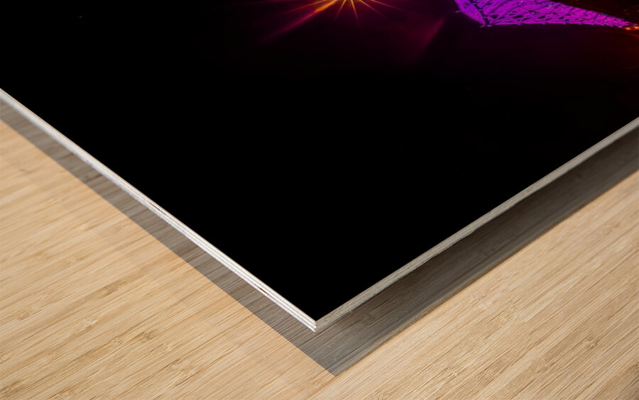 Jacques Cartier in Full Spectrum Wood print