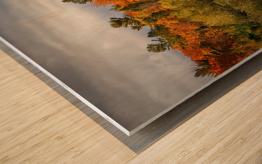 Autumn Harmony Wood print