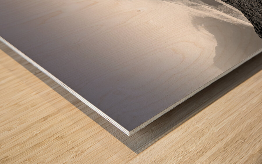 Frozen Kingdom Wood print