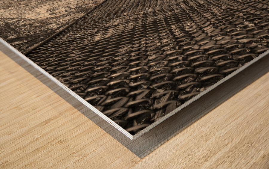 The Path Forward Wood print