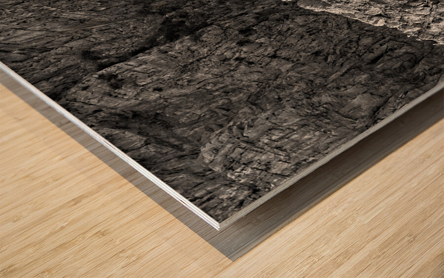 Stone Giants by the Sea Wood print