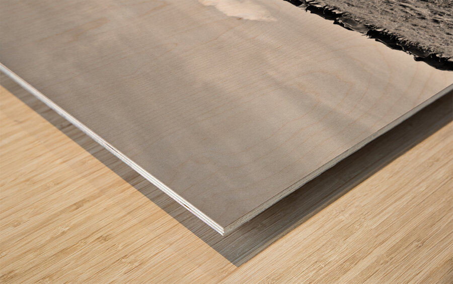 The Long Walk Home Wood print